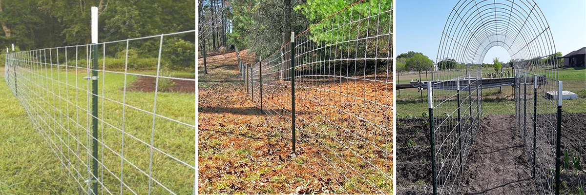 green steel t post for farm fence