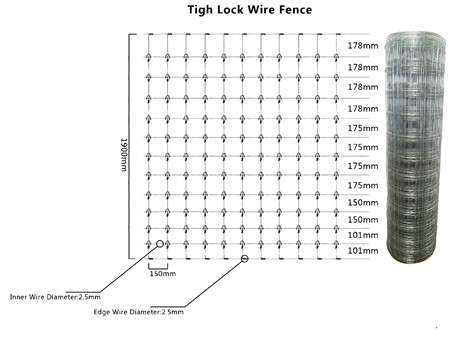 1.55m Height Galvanized 50mm Vertical Wire Distance 50m long tight lock fence