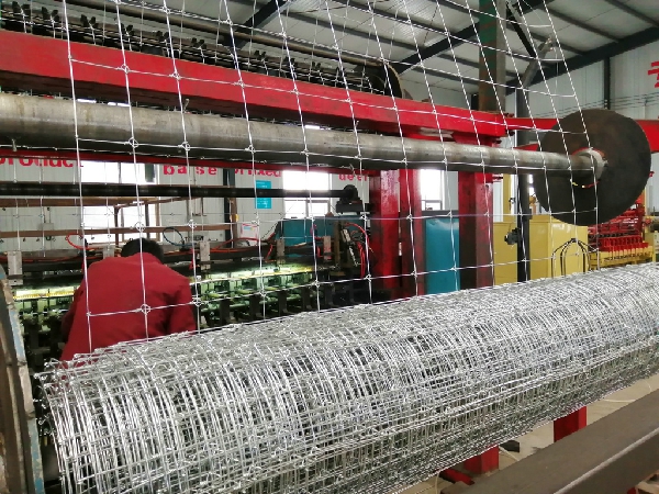 1.55m Height Galvanized 15cm Vertical Wire Distance 100m long Fixed-knot field fence