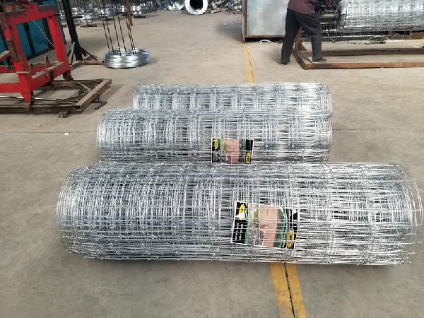 1.55m Height Galvanized 15cm Vertical Wire Distance 100m long Fixed-knot field fence