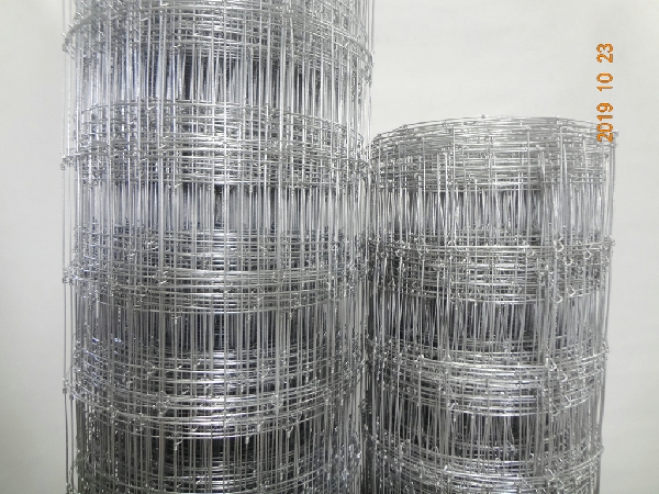 1.55m Height Galvanized 15cm Vertical Wire Distance 100m long Fixed-knot field fence