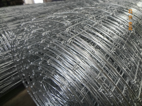 1.55m Height Galvanized 15cm Vertical Wire Distance 100m long Fixed-knot field fence