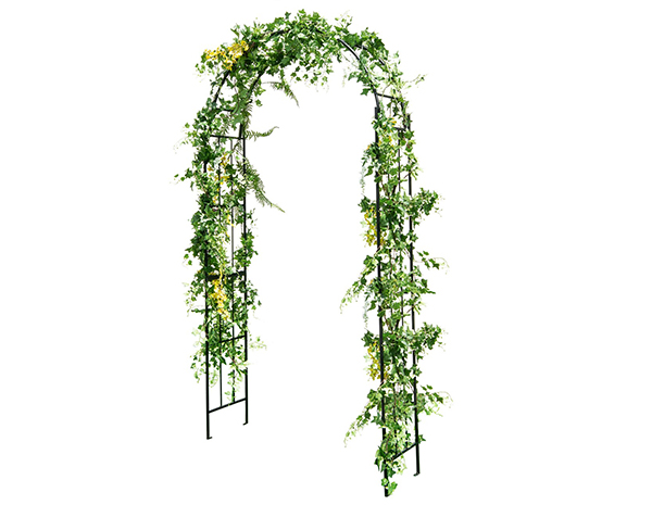 Climbing Plant Support