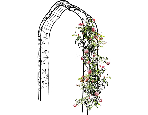 Climbing Plant Support