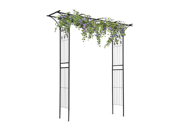 Climbing Plant Support