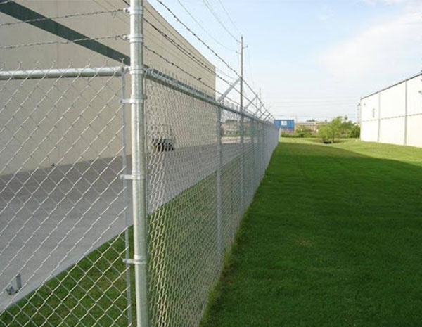 Should I choose galvanized or plastic-coated chain link fence for aquaculture